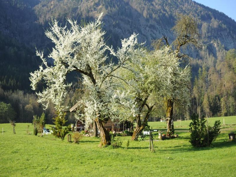 Hansenbauernhof Inkl. Chiemgaukarte Ruhpolding Exteriér fotografie